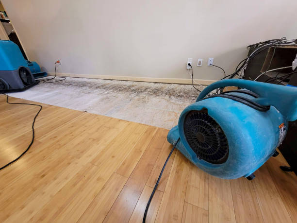 Professional Burst Pipe Water Damage technician working in Black Hawk, CO